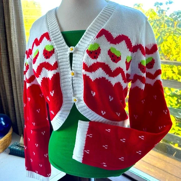 💌[ Dolls Kill ] Strawberry Shortcake Berry Charms Intarsia Cardigan Sweater - Picture 12 of 12